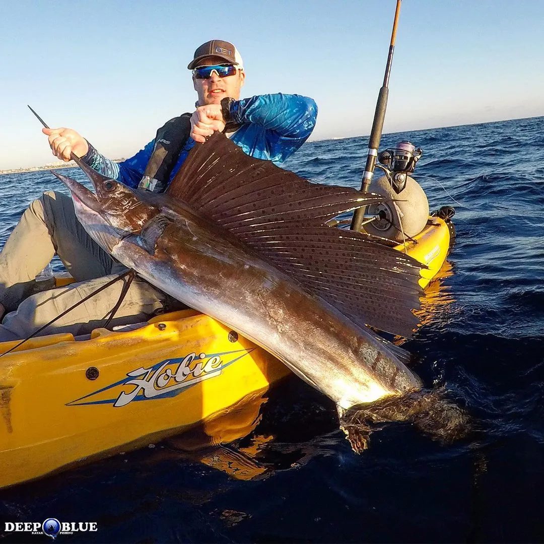 Sailfish caught from the kayak